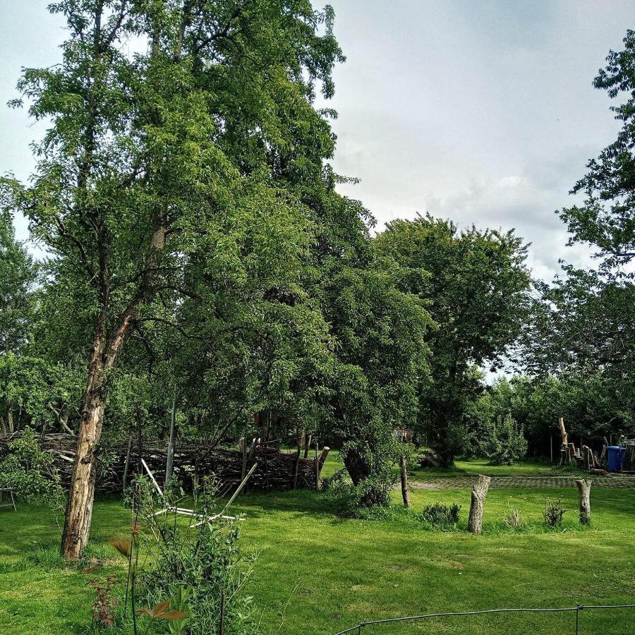 Ferienwohnung-Im-Karolinenkoog-Erholung-Zwischen-Feld-Und-Deich Экстерьер фото